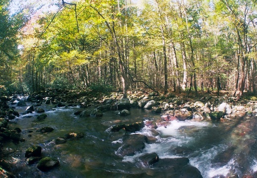 Middle Prong Little Pigeon River